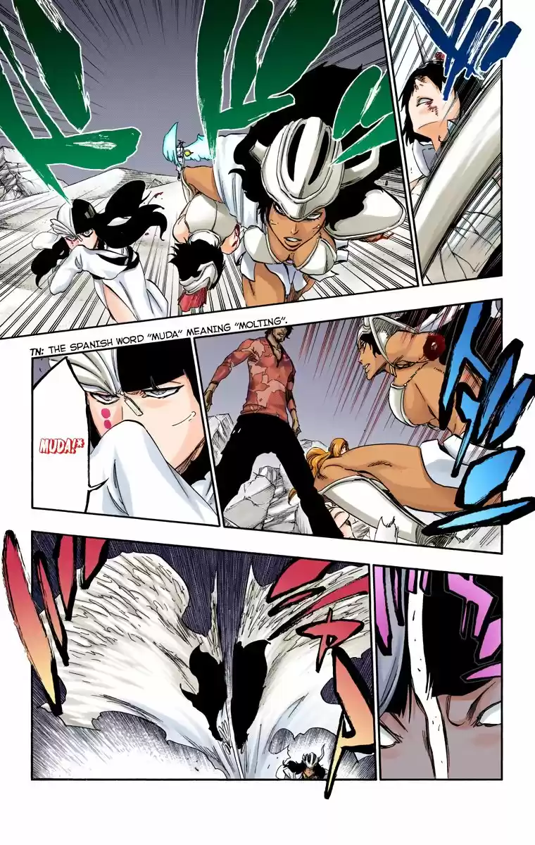 Bleach - Digital Colored Comics Vol.56 Ch.493