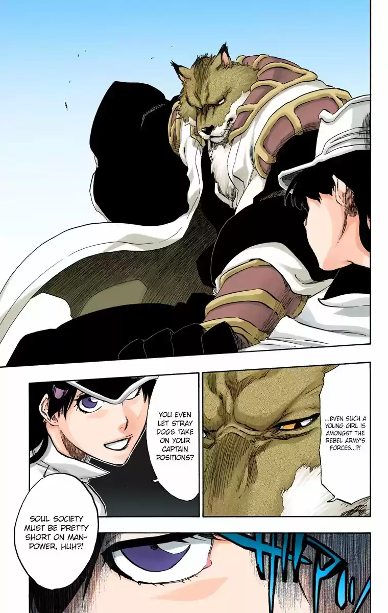 Bleach - Digital Colored Comics Vol.56 Ch.495