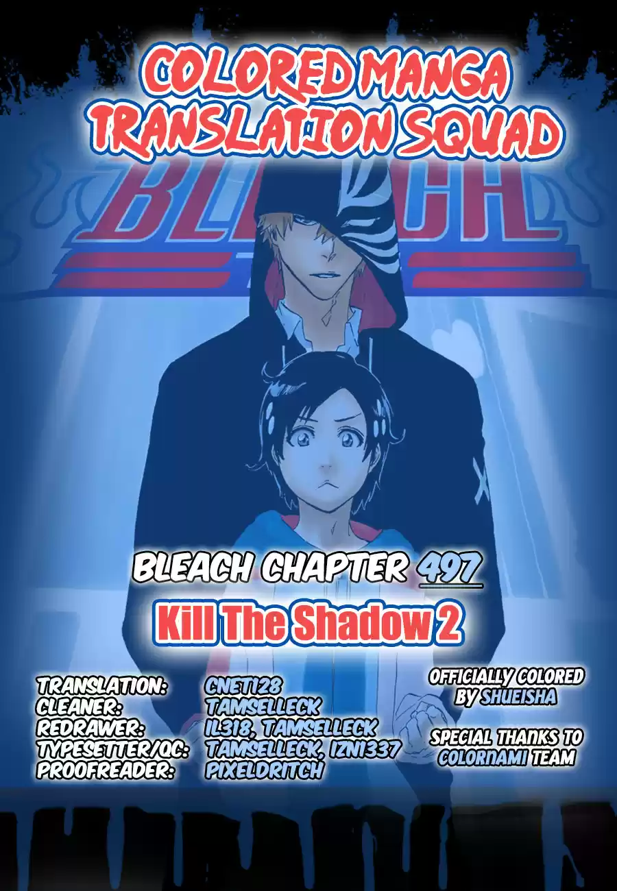 Bleach - Digital Colored Comics Vol.56 Ch.497