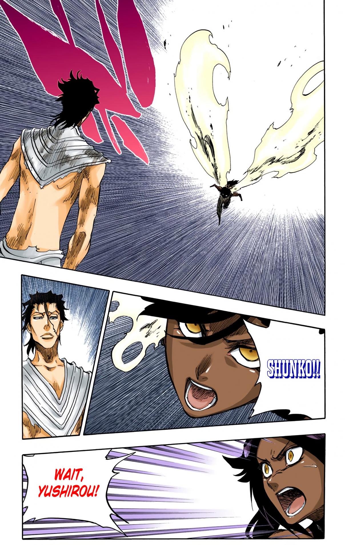 Bleach (Official Colored) 658