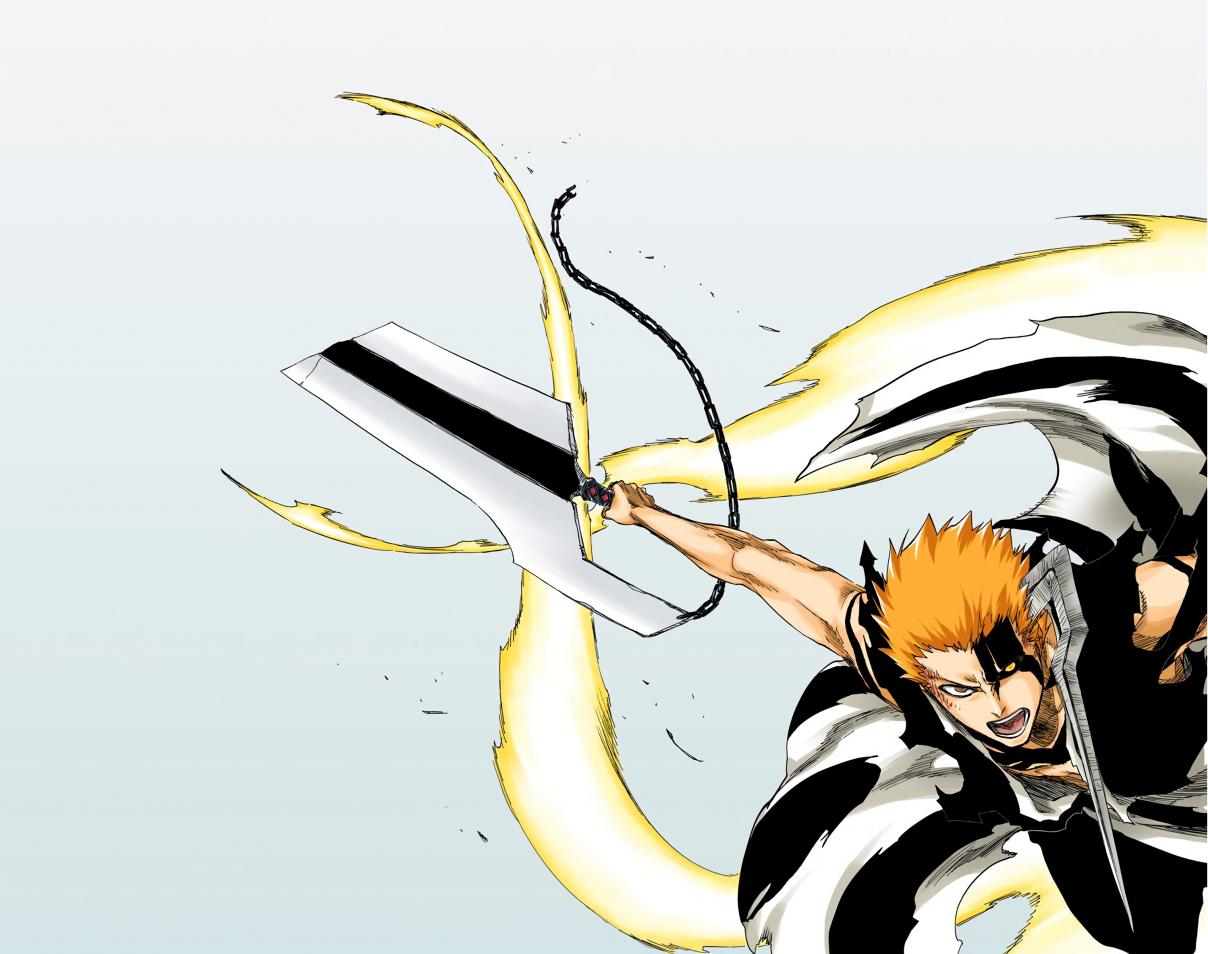Bleach (Official Colored) 678