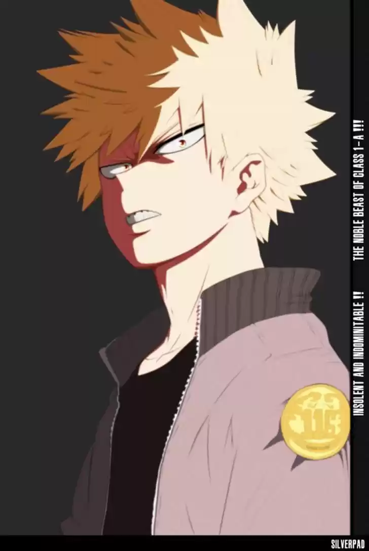 Boku no Hero Academia 139