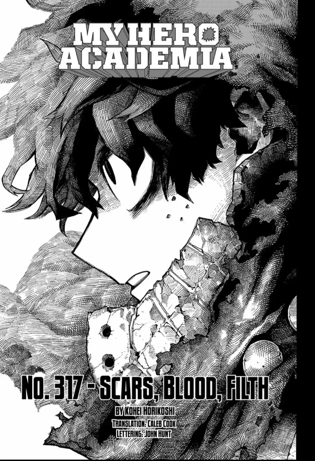 Boku No Hero Academia Chapter 317