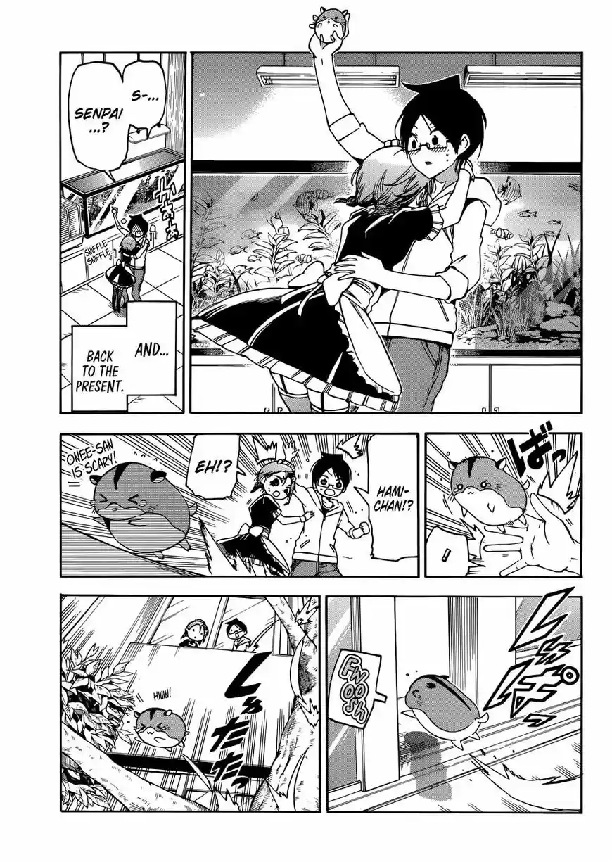 Bokutachi wa Benkyou ga Dekinai ch.071