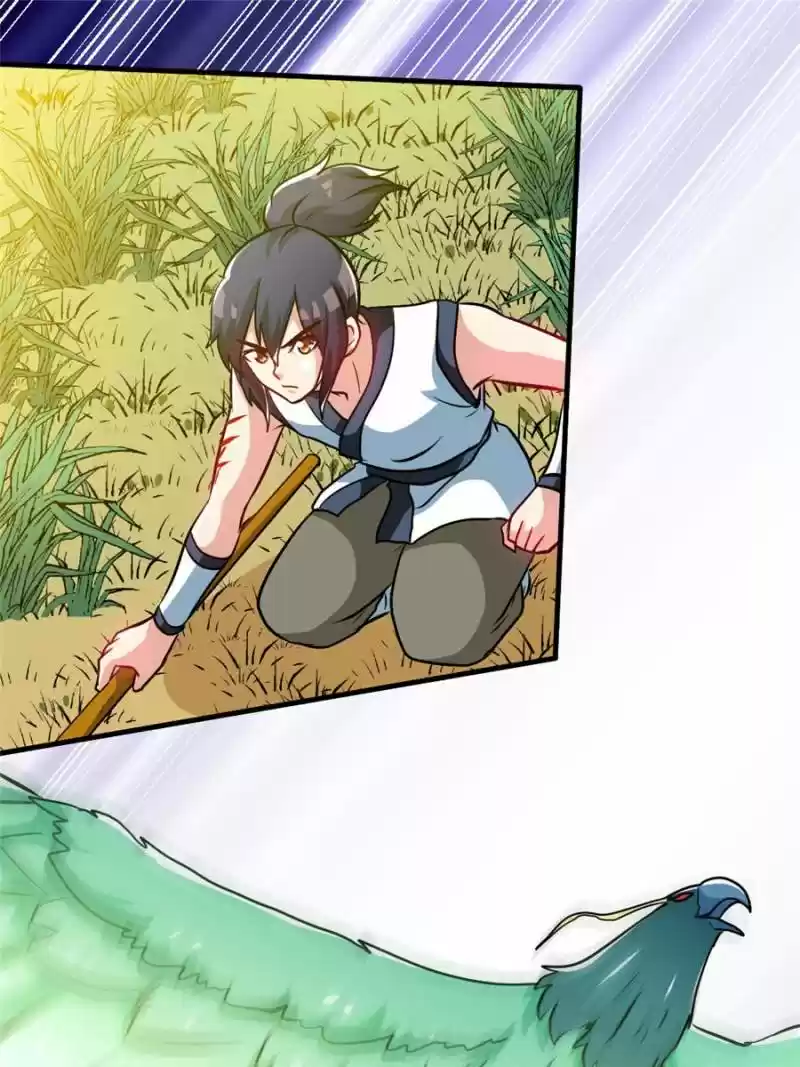 Born To Be Rich Chapter 67