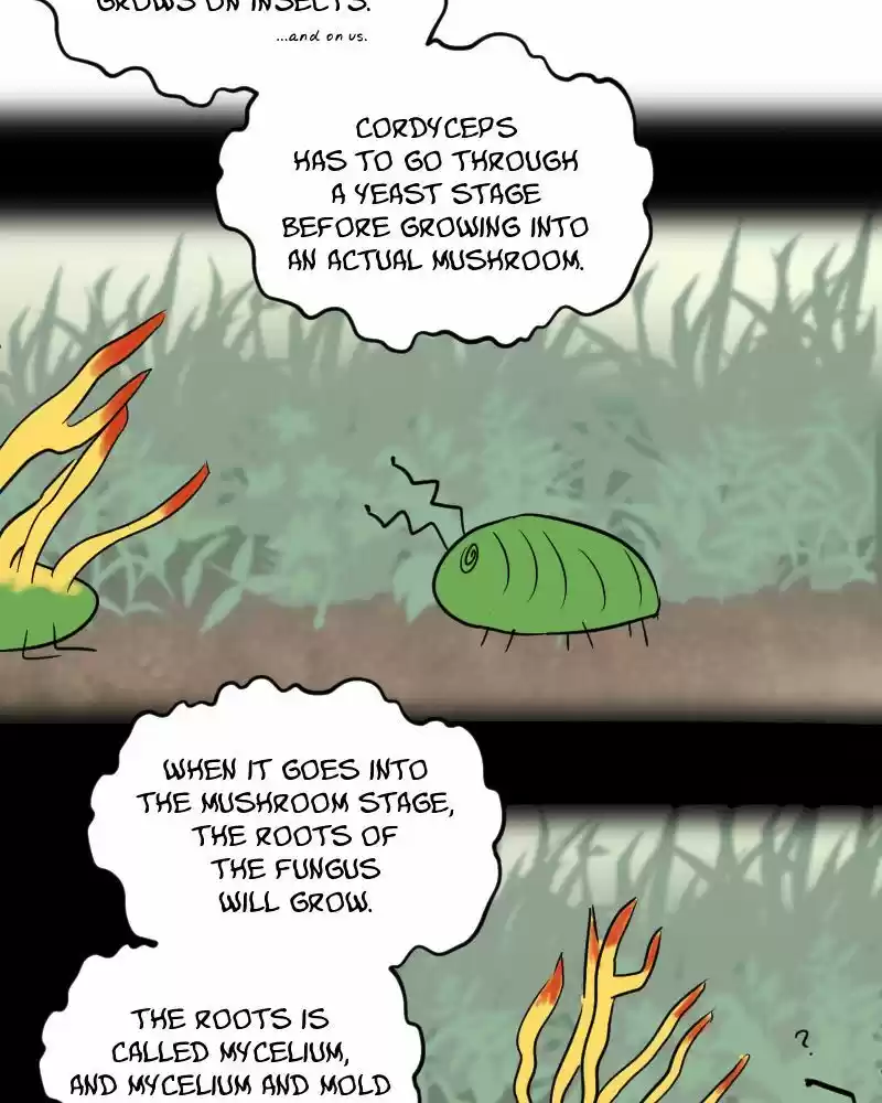 Boyfriend of the Dead ch.271