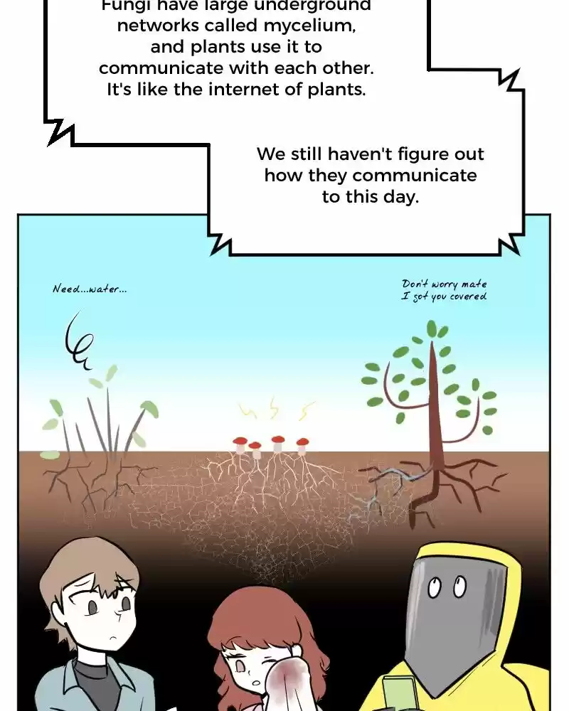 Boyfriend of the Dead ch.274