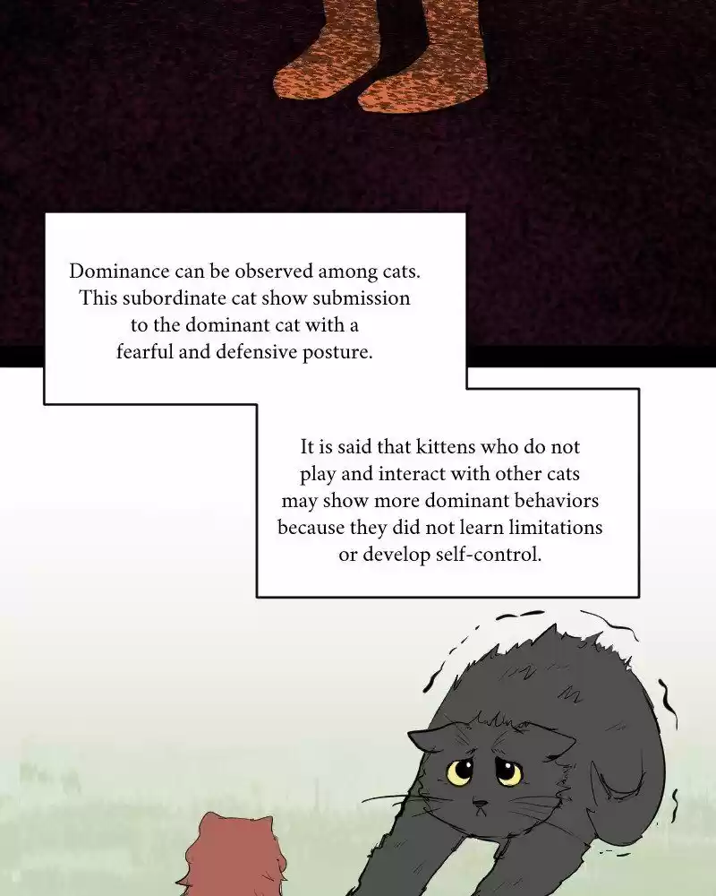 Boyfriend of the Dead ch.305