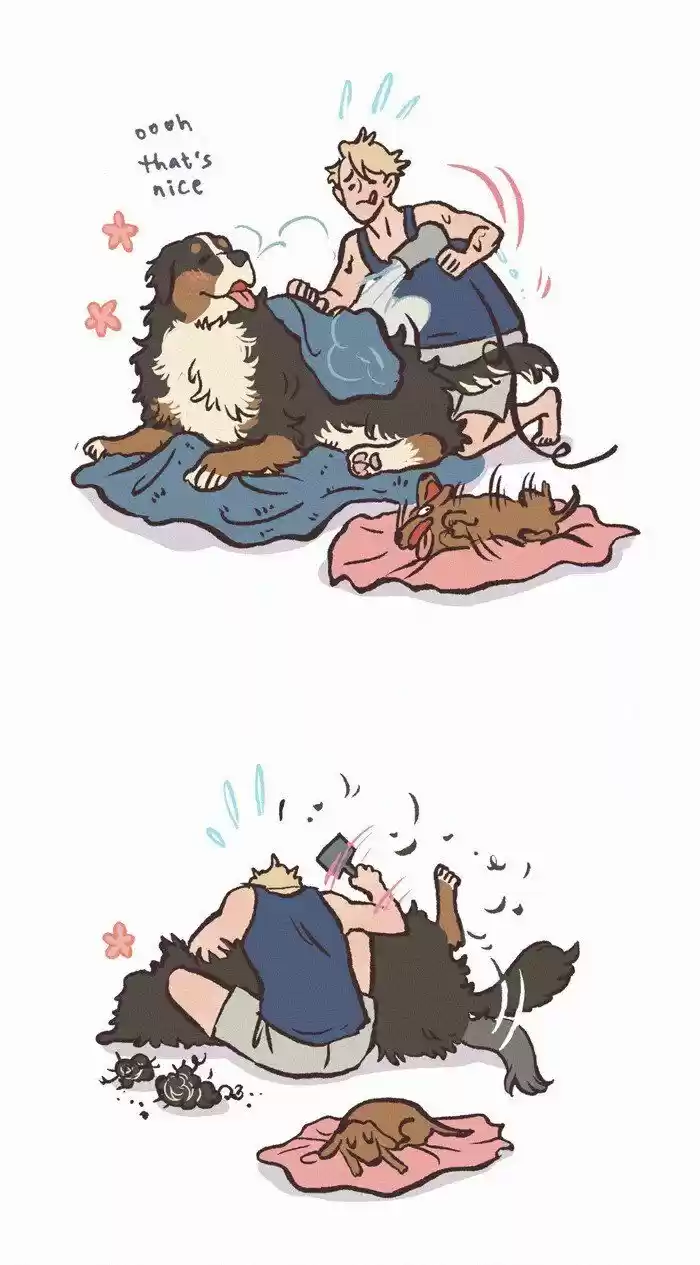 Boyfriend of the Dead ch.503