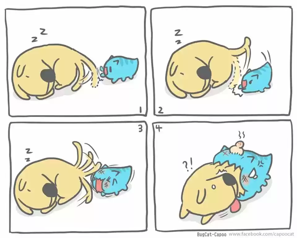 BugCat-Capoo ch.1.5