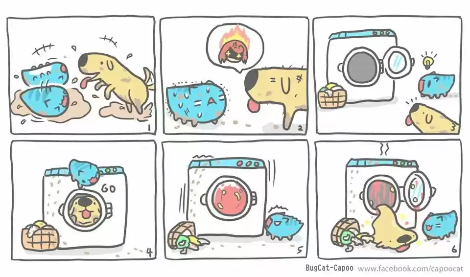 BugCat-Capoo ch.1.5