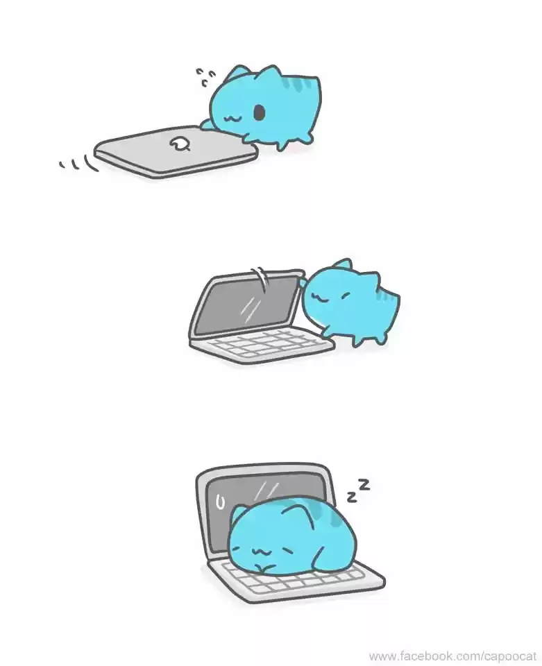 BugCat-Capoo ch.192.5