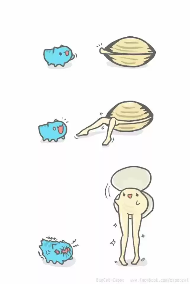 BugCat-Capoo ch.88.5