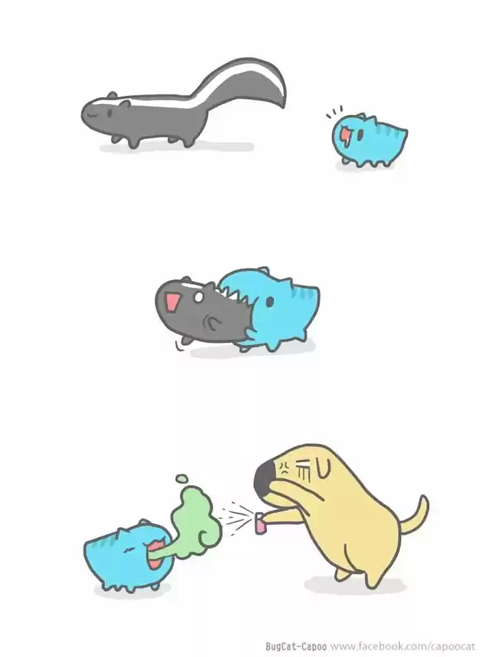 BugCat-Capoo ch.88.5