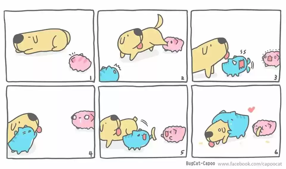 BugCat-Capoo ch.88.5