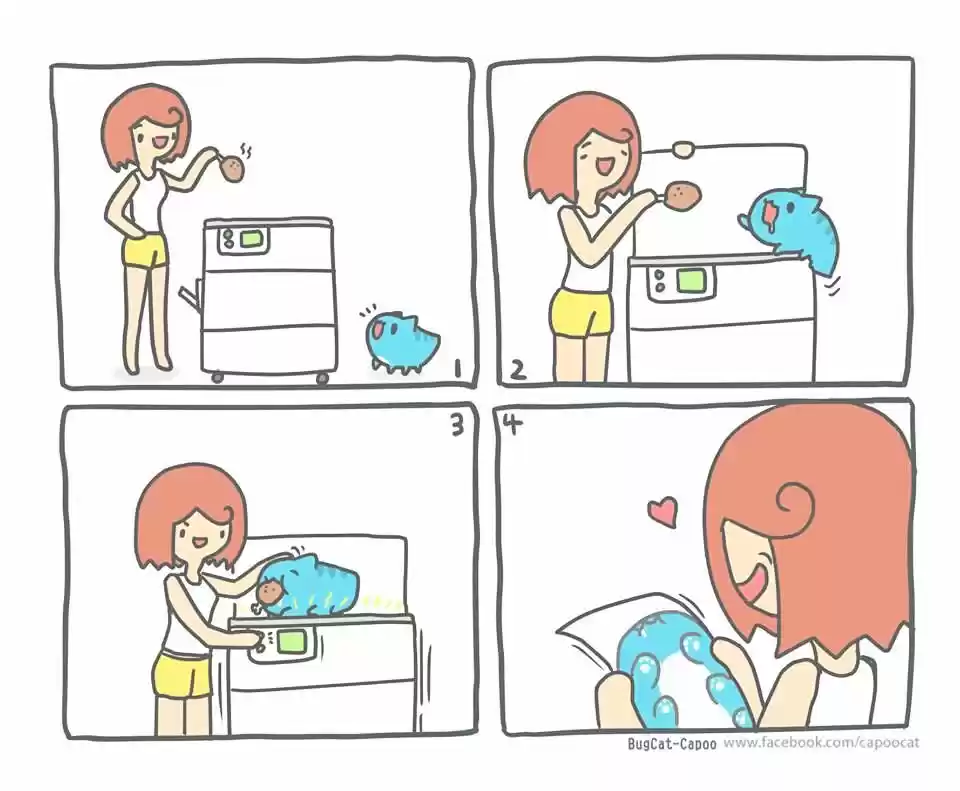 BugCat-Capoo ch.88.5