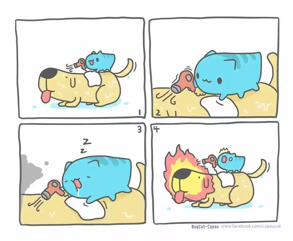 BugCat-Capoo ch.88.5