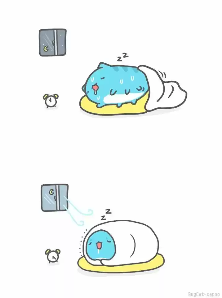 BugCat-Capoo ch.88.5