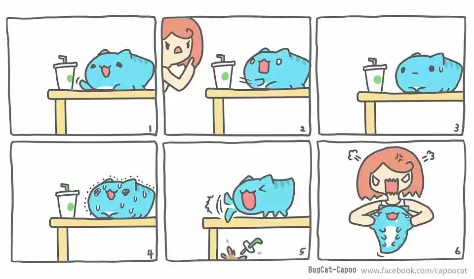 BugCat-Capoo ch.88.5