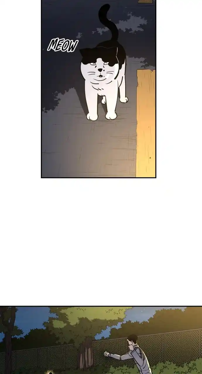 Build Up Chapter 101