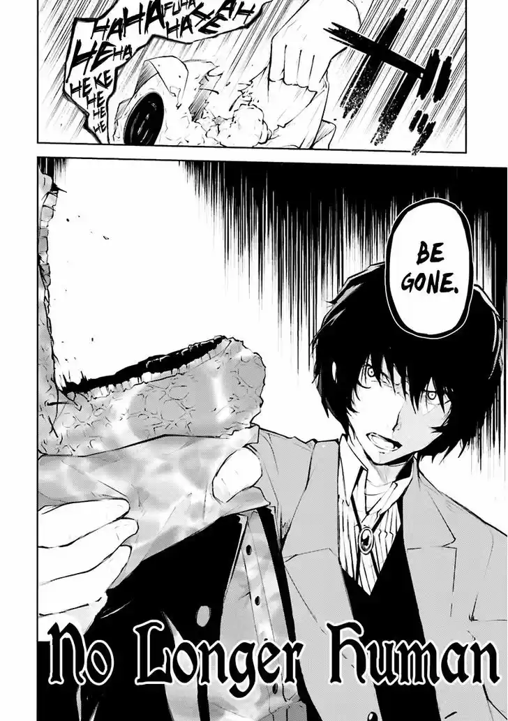 Bungou Stray Dogs 25