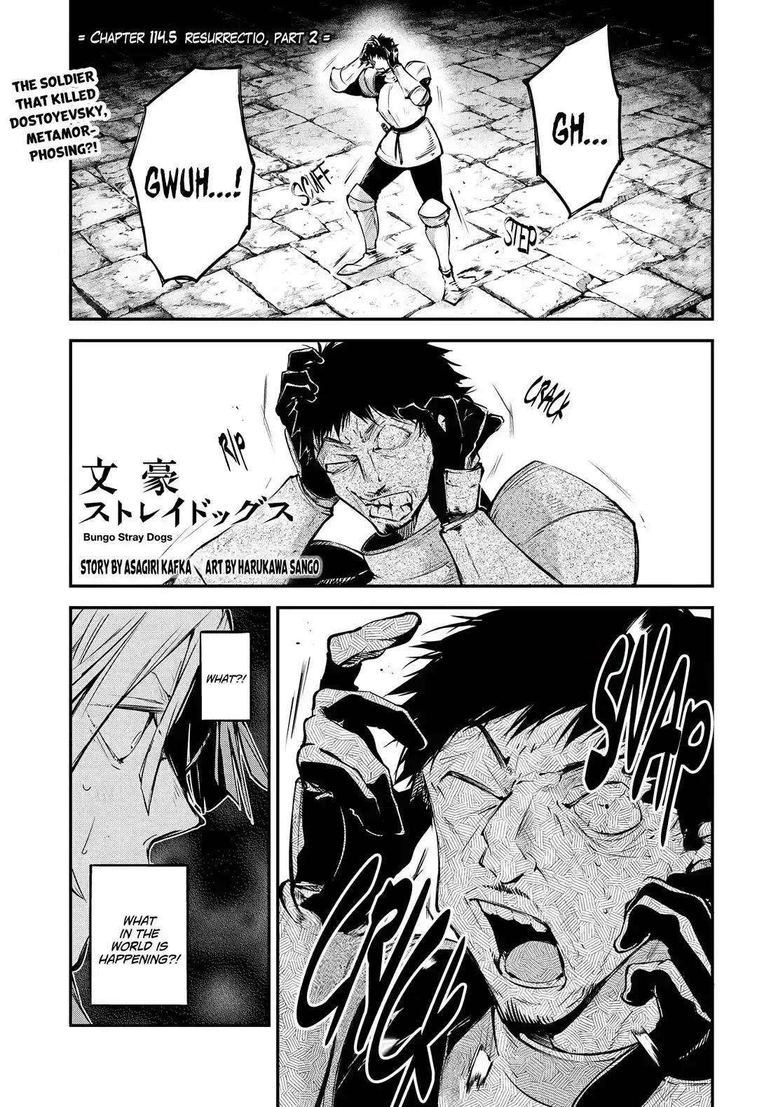 Bungou Stray Dogs Chapter 114.5