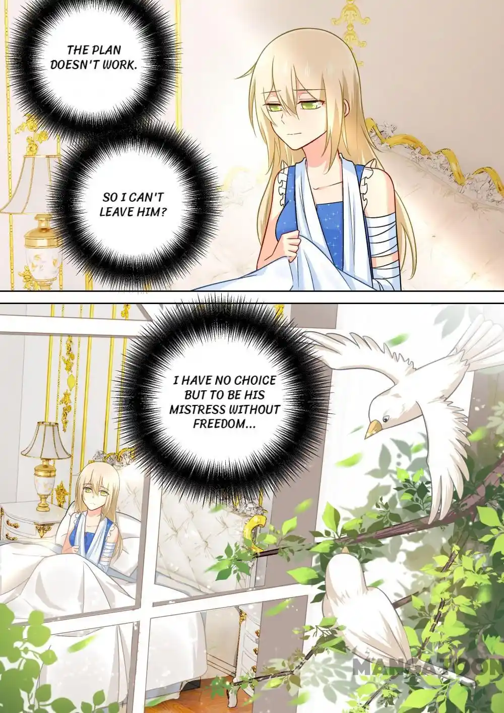 CEO Above, Me Below Chapter 250