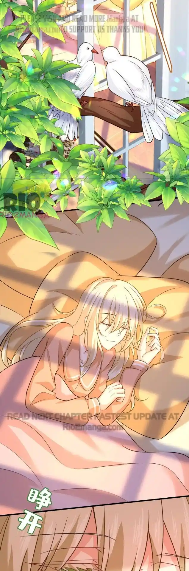 Ceo Above, Me Below Chapter 539