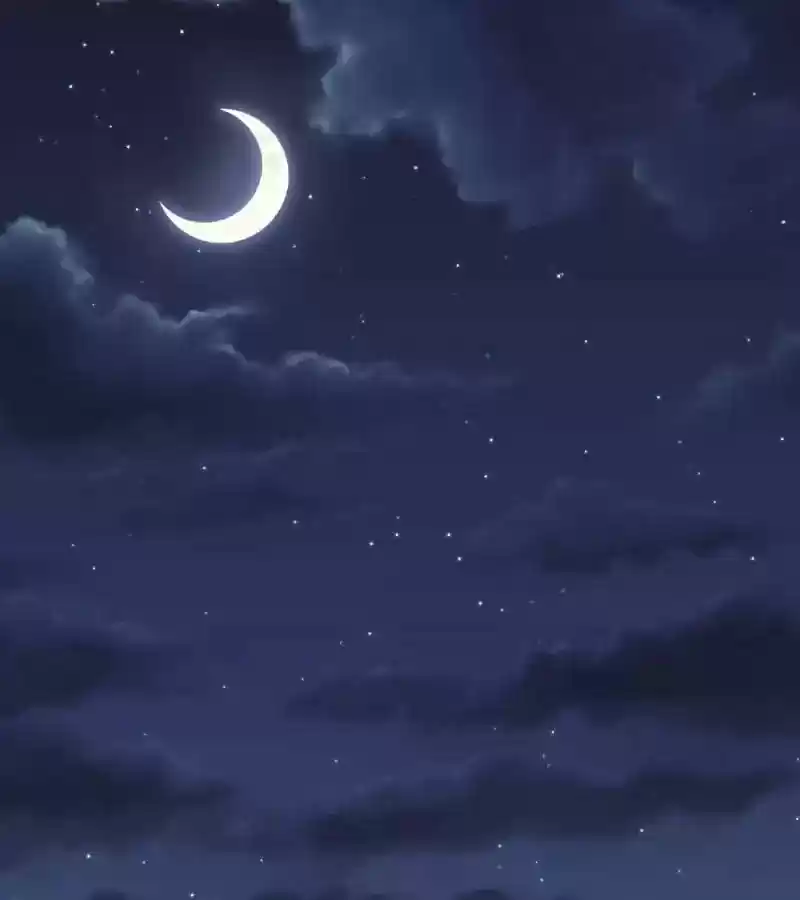 CEO's Sudden Proposal Chapter 1: Special Patient