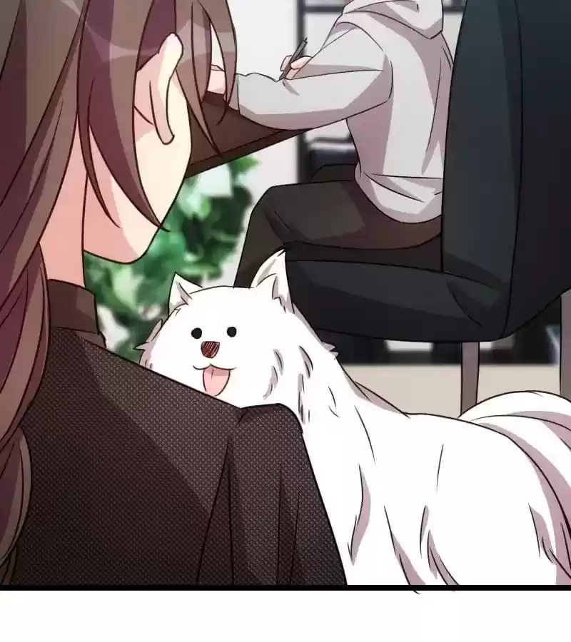 CEO's Sudden Proposal Chapter 119