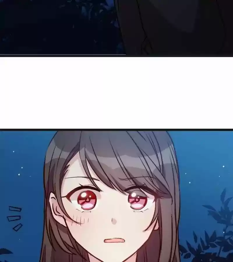 CEO's Sudden Proposal Chapter 15: Who Else Would Dare Marry You?