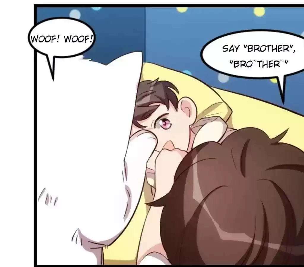 CEO's Sudden Proposal Chapter 150.5: