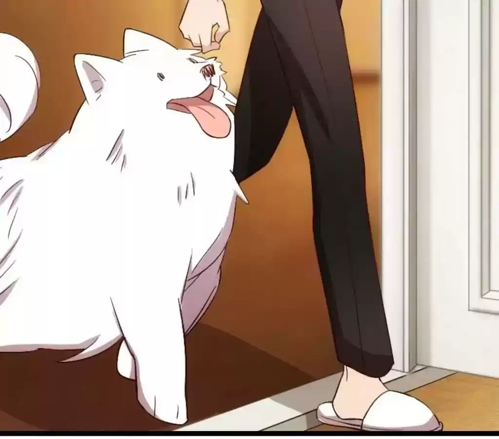 CEO's Sudden Proposal Chapter 150.5: