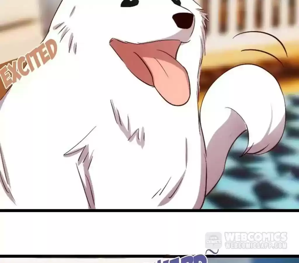 CEO's Sudden Proposal Chapter 150.5: