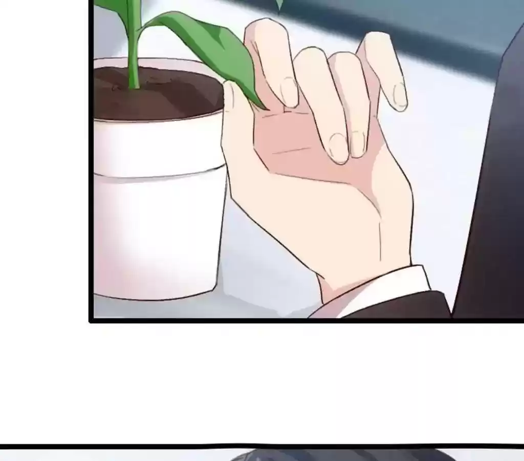 CEO's Sudden Proposal Chapter 21: