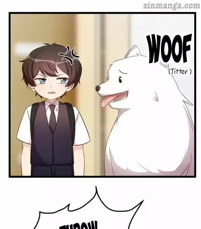 Ceo's Sudden Proposal Chapter 234