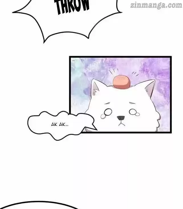 Ceo's Sudden Proposal Chapter 234