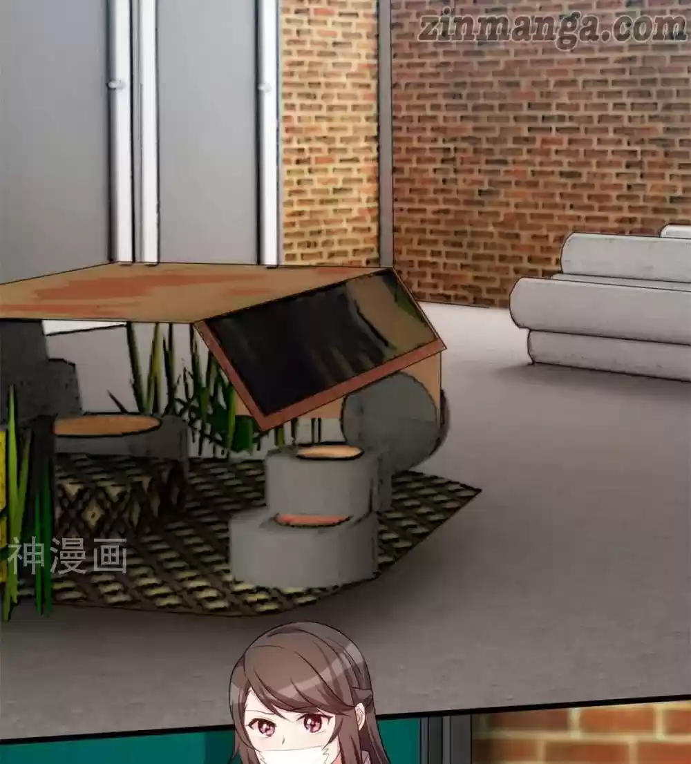 Ceo's Sudden Proposal Chapter 278