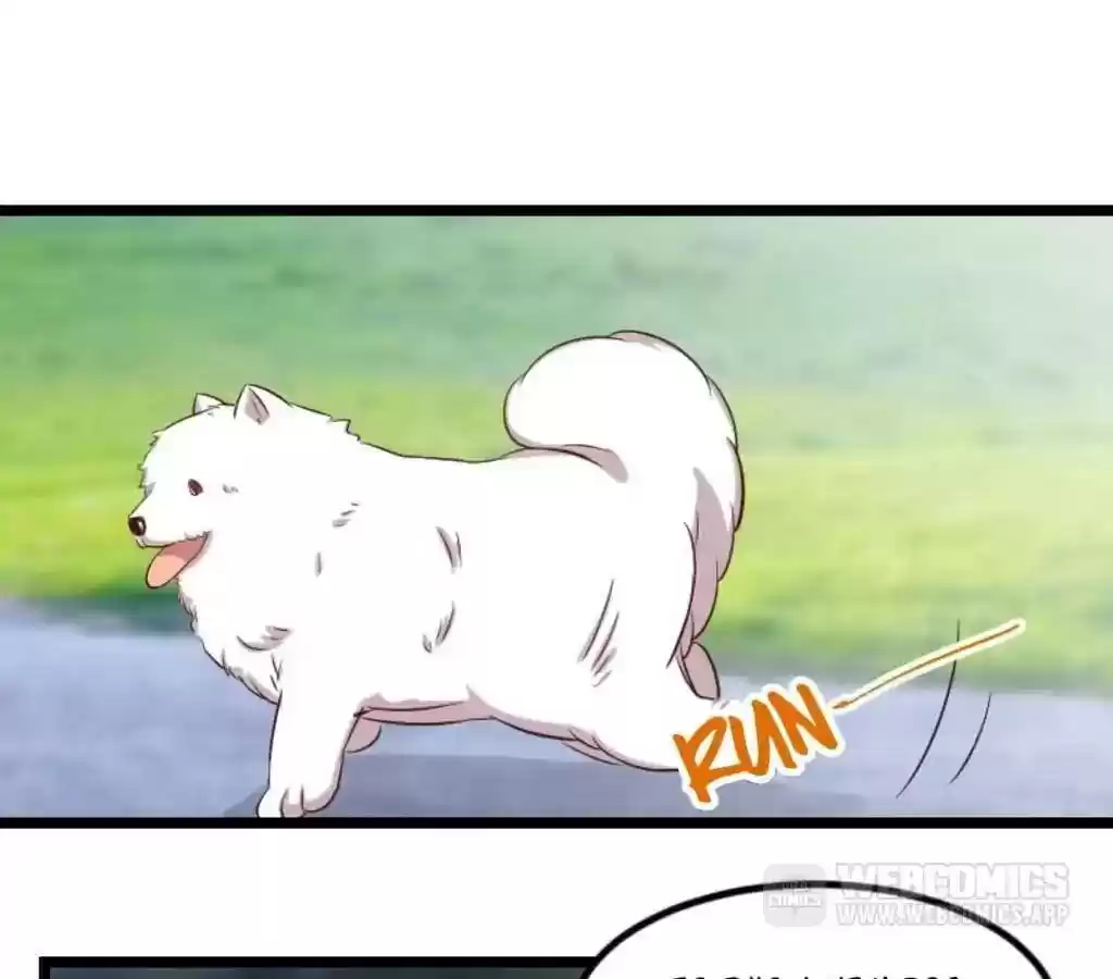 CEO's Sudden Proposal Chapter 76