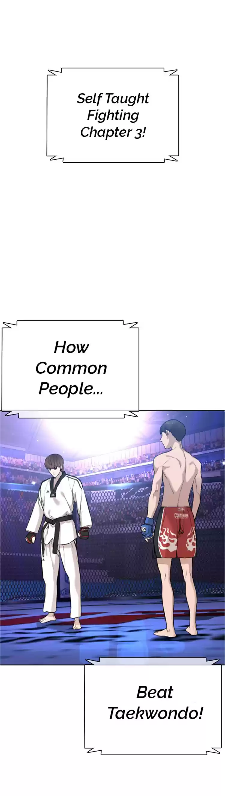 Chapter 16: How To Fight And Win: Against Taekwondo