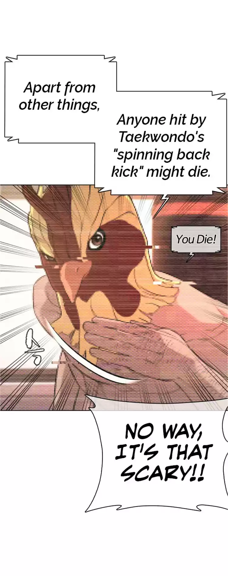 Chapter 16: How To Fight And Win: Against Taekwondo