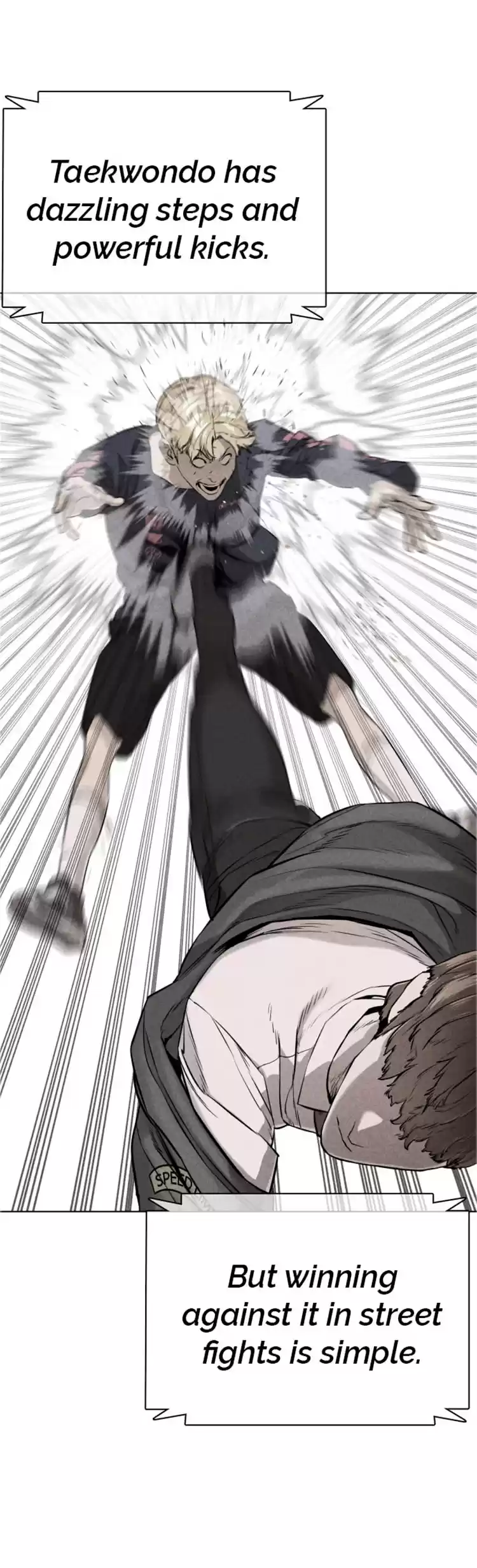 Chapter 16: How To Fight And Win: Against Taekwondo