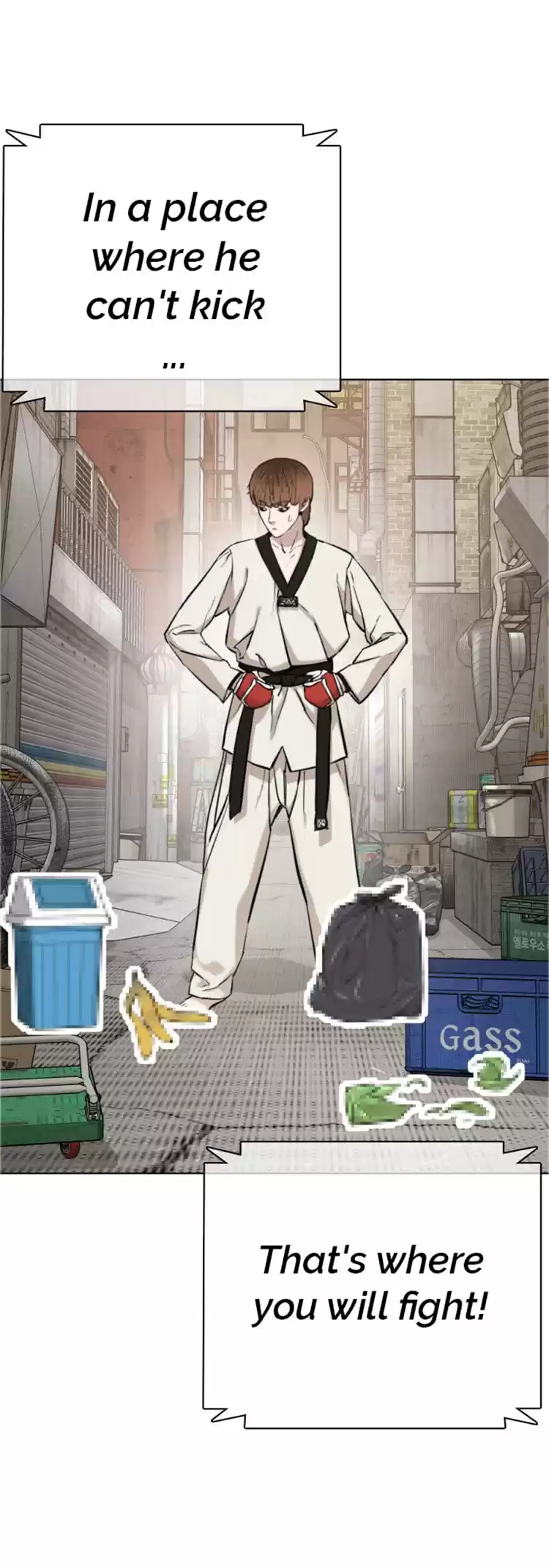 Chapter 16: How To Fight And Win: Against Taekwondo