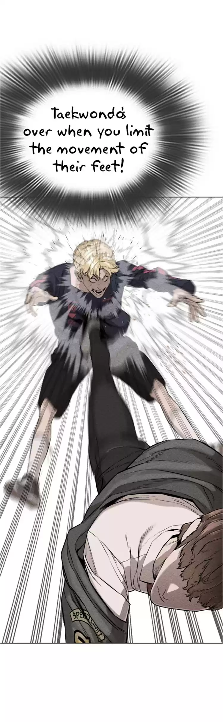 Chapter 16: How To Fight And Win: Against Taekwondo