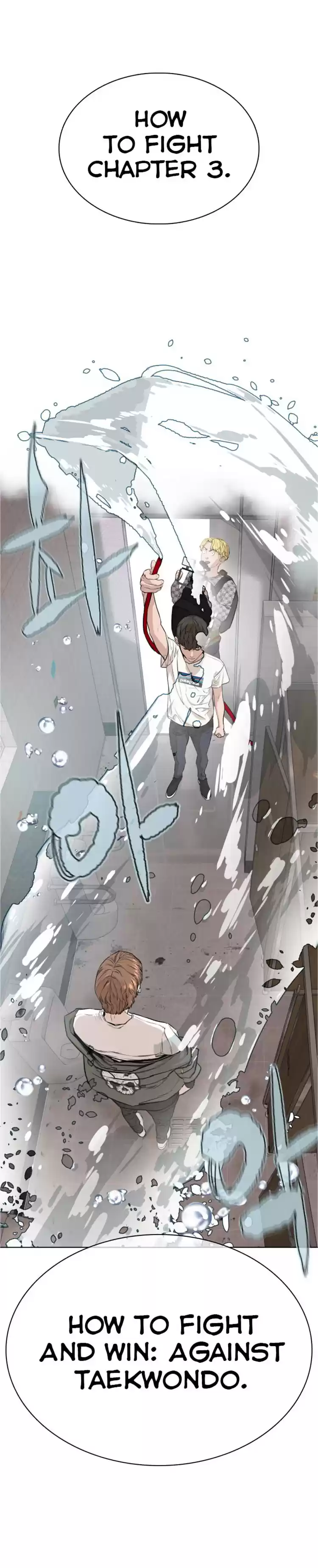 Chapter 16: How To Fight And Win: Against Taekwondo