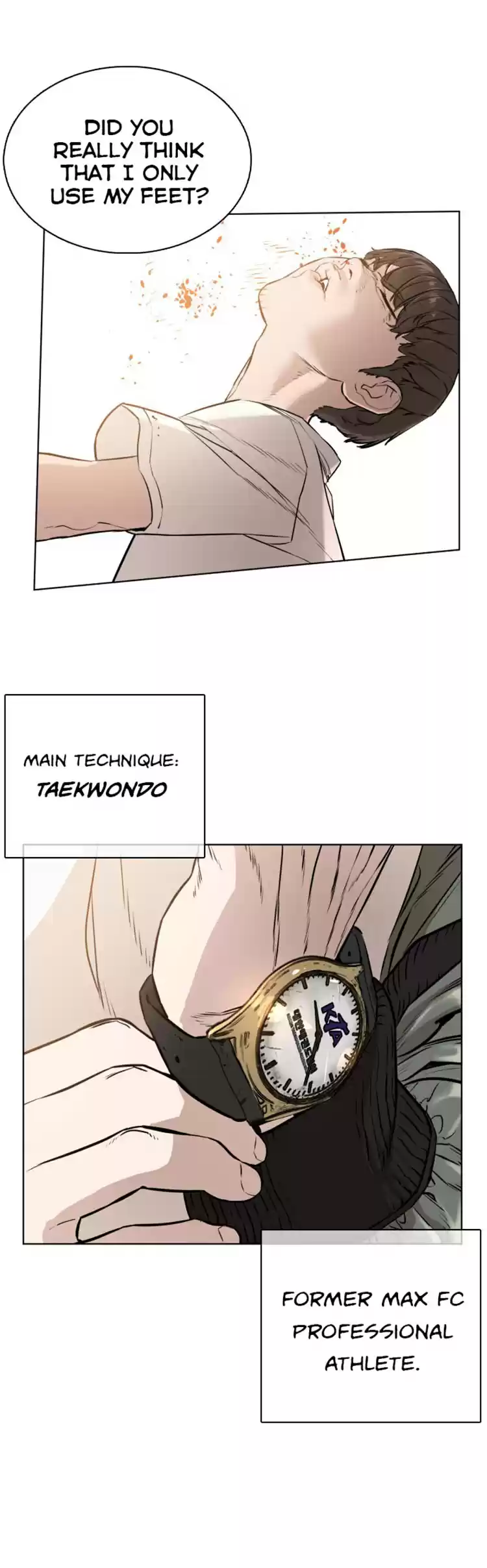 Chapter 16: How To Fight And Win: Against Taekwondo