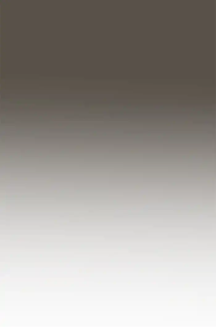 Chapter 266: 266 - Part 2.52