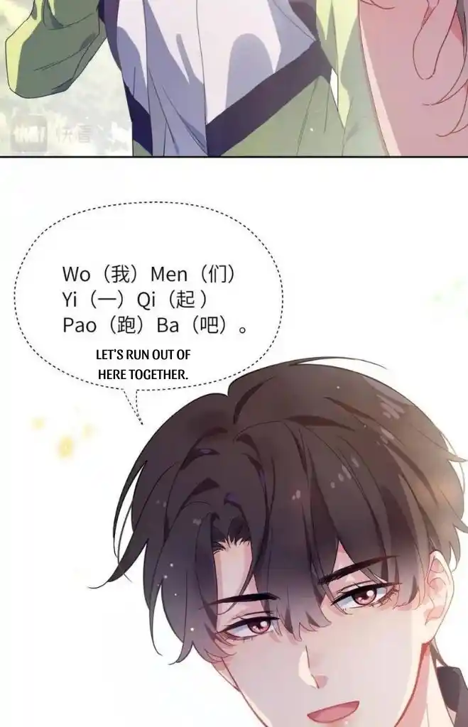 Chapter 49