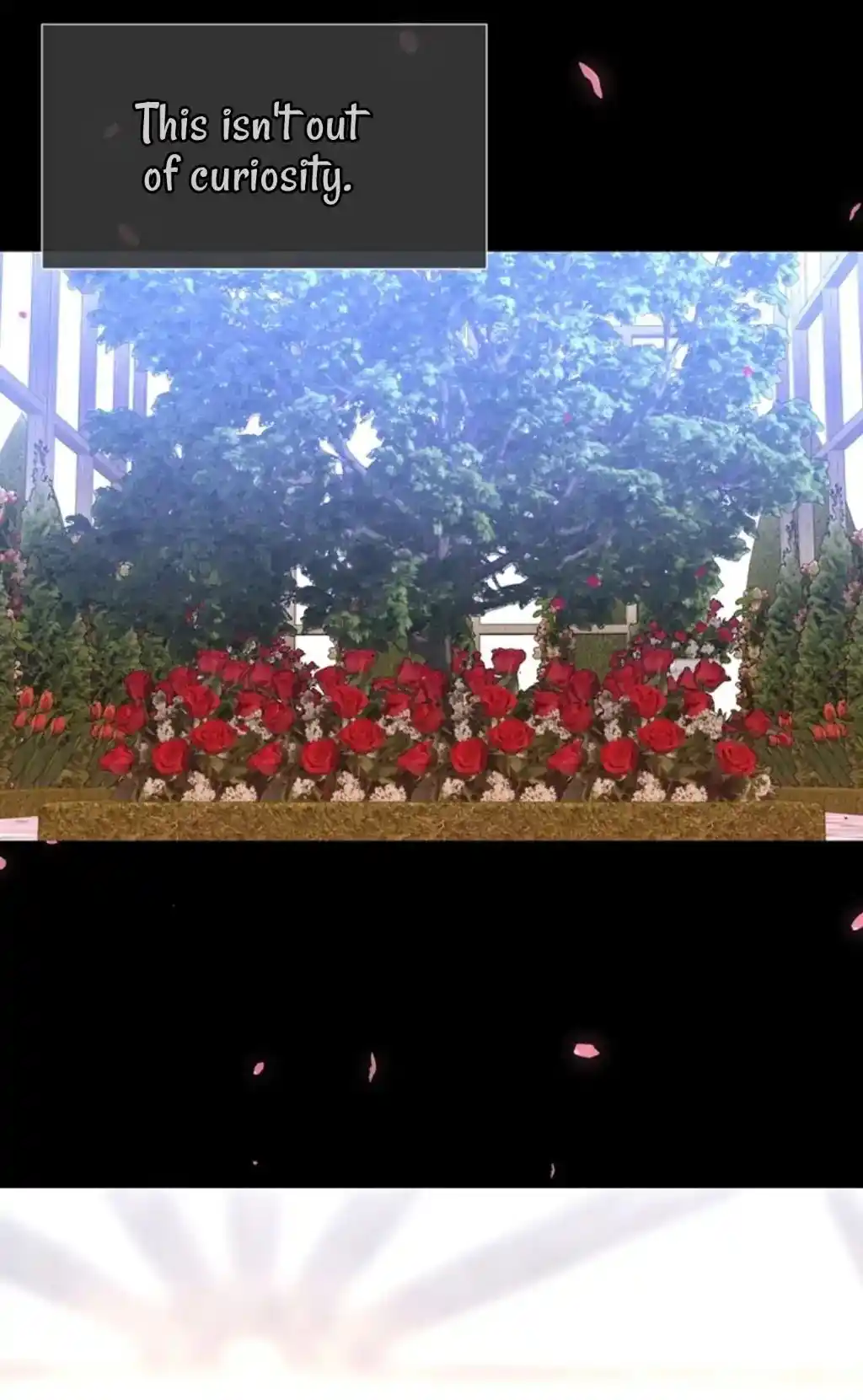 Charlotte Has Five Disciples Chapter 137