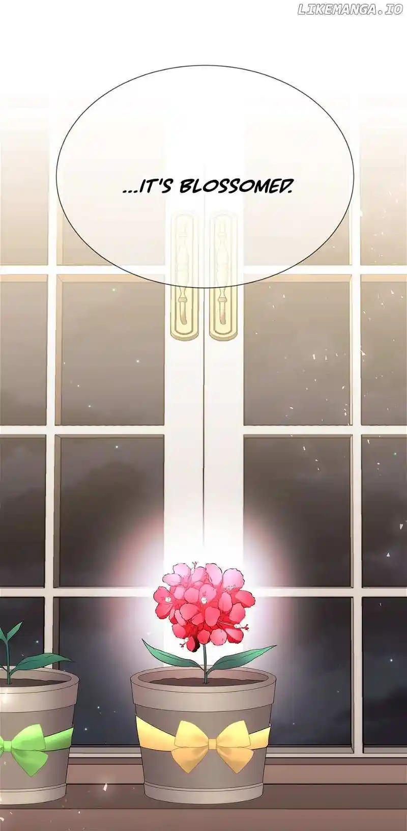 Charlotte Has Five Disciples Chapter 200